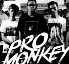 Pro Monkey