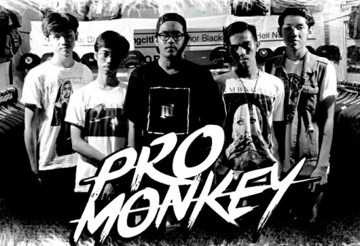Pro Monkey