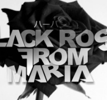 BLACK ROSE FROM MARIA