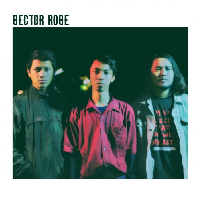 Sector Rose