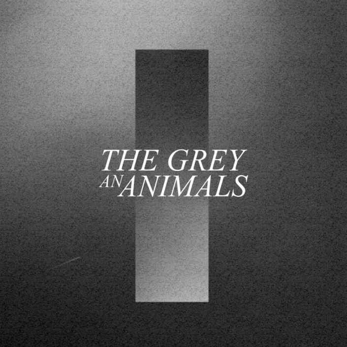 The Grey An Animals