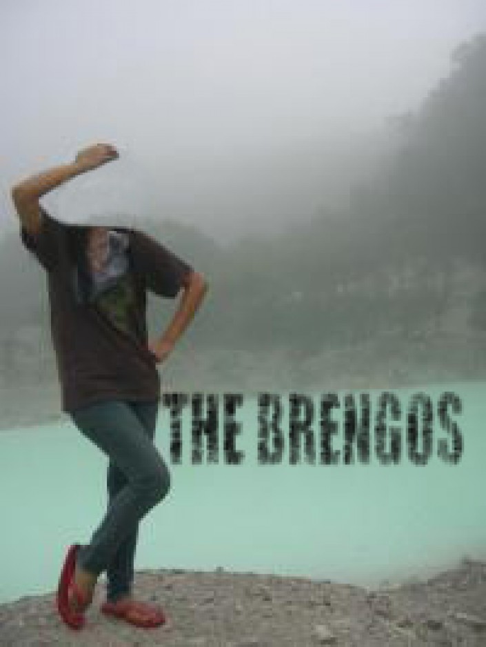 THE BRENGOS